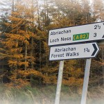 Abriachan Forest