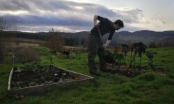 Kit in the garden at Moniack Mhor