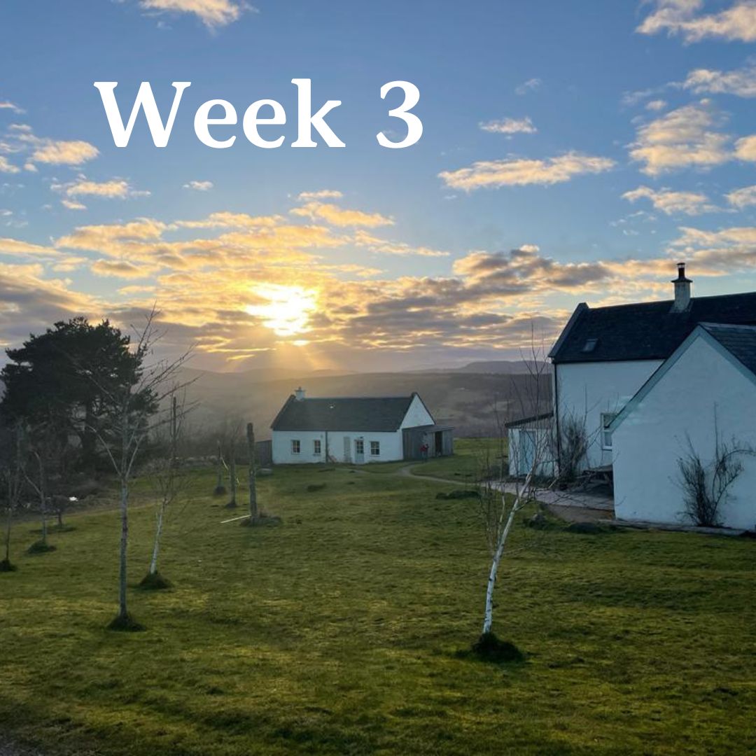 2414 Spring Retreat - Week 3 of 3