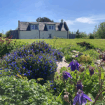 Spring Residency Programme 2026